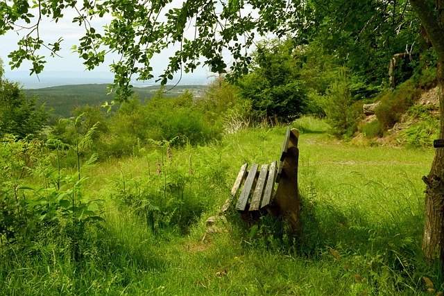 星不惜挥金 星不惜挥金