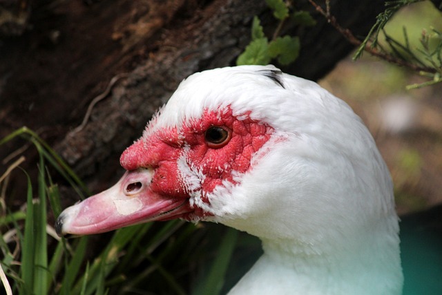 一个简单的 一个简单的