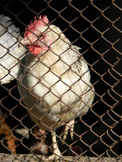 此舉不僅讓 此舉不僅讓