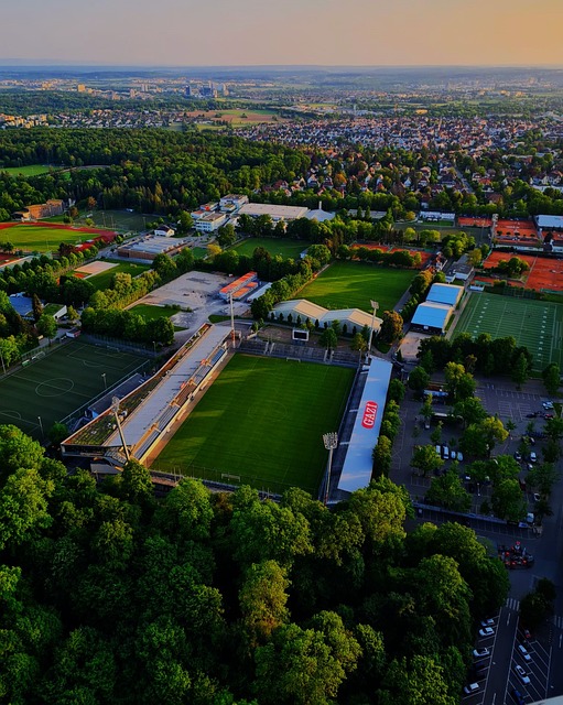 解和认知这 解和认知这