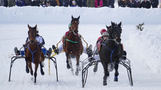 大谷翔平轉隊後脫胎換骨 進階數據顯現巨大進步.