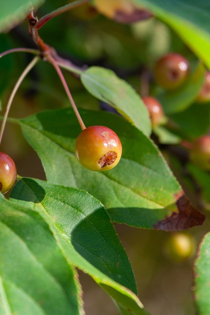 與體能分配 與體能分配